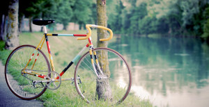 Festival Bike 2017 @ Romano di Lombardia