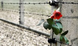 Urgnano, Memorie da Auschwitz @ Rocca Albani | Urgnano | Lombardia | Italia