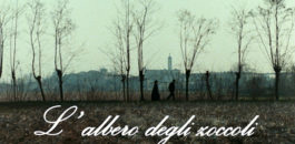 Martinengo, Tour guidato alla scoperta dei luoghi del film “L’albero degli zoccoli”