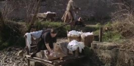 Calcinate, eventi celebrativi del 40° anniversario del “L’Albero degli Zoccoli”