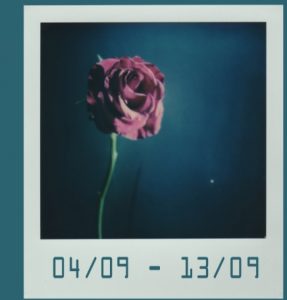 Martinengo, mostra: "Cara, ricordati di bagnare i fiori" @ Filandone di Martinengo