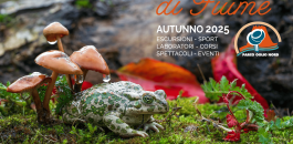 Essenze di Fiume – un’esperienza immersiva nella natura autunnale del Parco Oglio Nord Essenze di Fiume – un’esperienza immersiva nella natura autunnale del Parco Oglio Nord